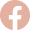 fecebook icon